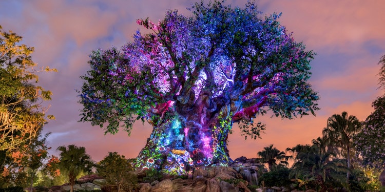 Animal Kingdom luces en el arbol de la vida Tree of Life