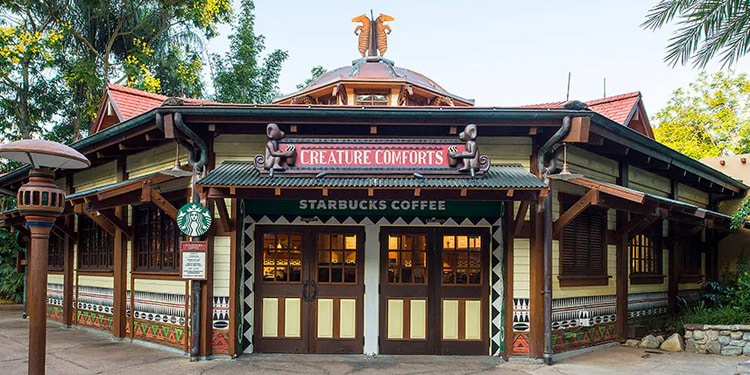 Creature Comforts Coffee Shop and Bakery Animal Kingdom