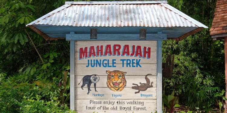 que hacer en Animal Kingdom Sendero Maharajah Jungle Trek Disney World